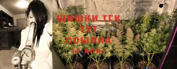 ПСИЛОЦИБИНОВЫЕ ГРИБЫ Болохово