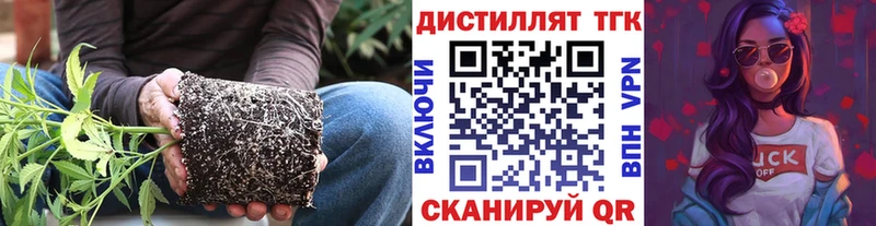 blacksprut ссылка  Далматово  Дистиллят ТГК жижа  купить наркоту 