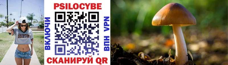 маркетплейс Telegram  Далматово  Псилоцибиновые грибы Cubensis  как найти наркотики 